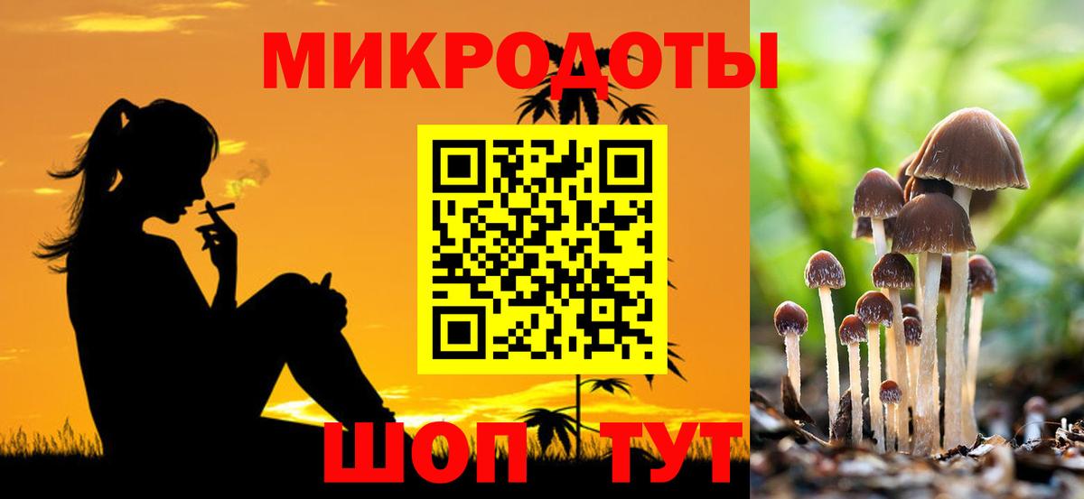 Псилоцибиновые грибы Cubensis  Вход с VPN  Дивногорск 